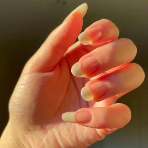 nailz-2-781540e2